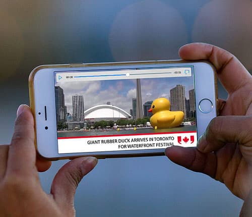 Picture of giant yellow rubber duck in Toronto lake displayed on a mobile phone.