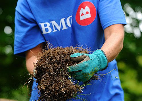 Bank of Montreal employee wear corporate t-shirt holding dirt in gloved hands