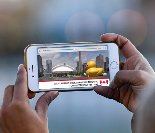 Picture of giant yellow rubber duck in Toronto lake displayed on a mobile phone.