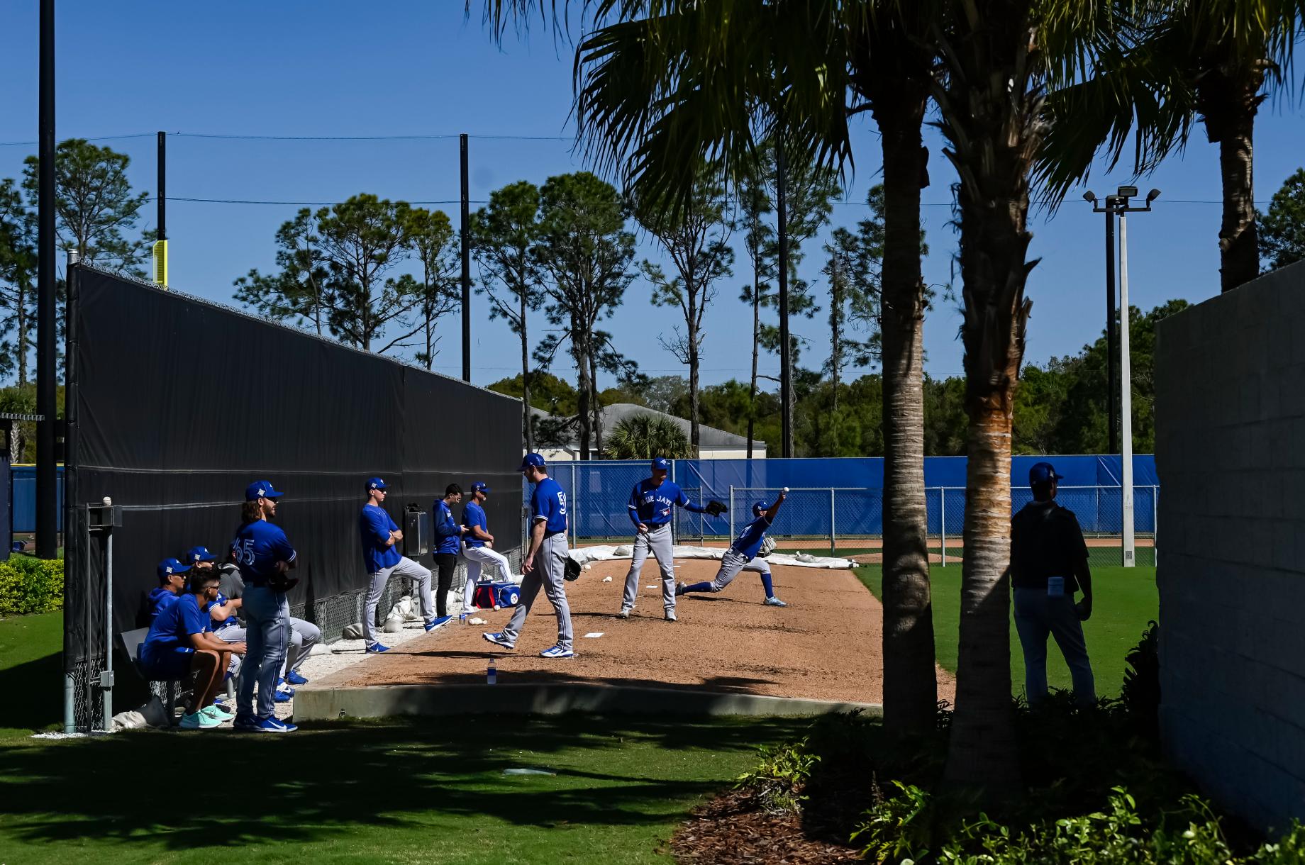 Blue Jays Spring Training The Canadian Press